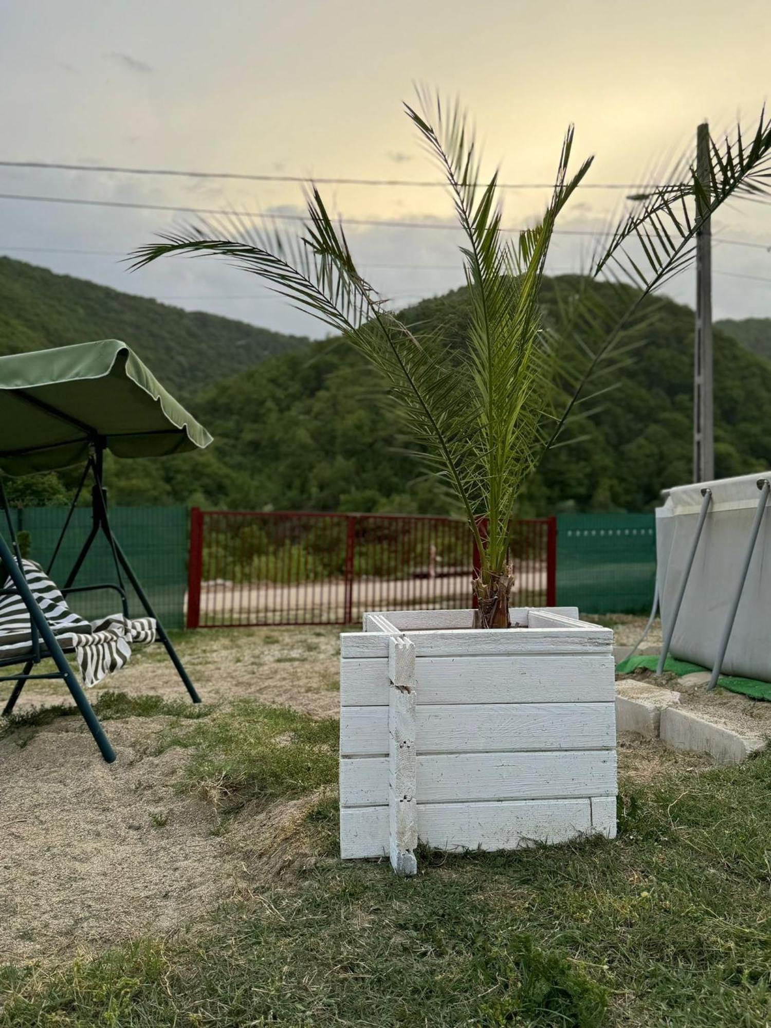 Campsite Cabanutele La Denisa